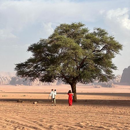 Sunset Dreams Camp Apartamento Wadi Rum Exterior foto