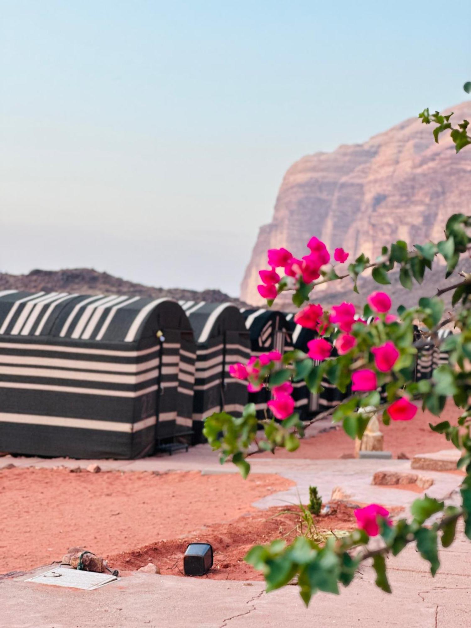 Sunset Dreams Camp Apartamento Wadi Rum Exterior foto